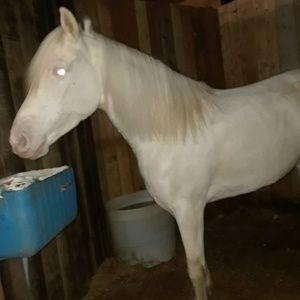 Meet your Posher, Alejandro